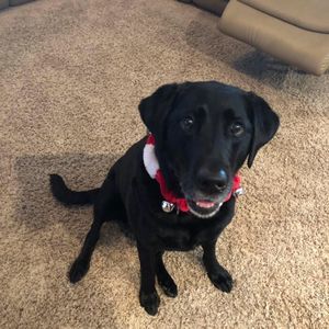 Meet your Posher, Pam